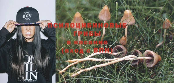 дмт Лабытнанги