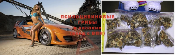 дмт Лабытнанги